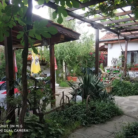 Guest house Papanovata House 3*